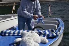 NIK_0776_8