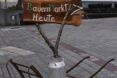 NIK_0269_1