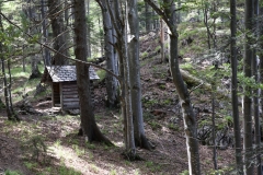 FischerW_1