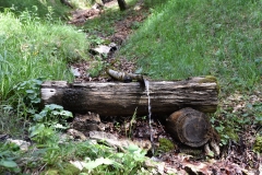 FischerW_6