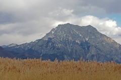 FischerWilfr-2