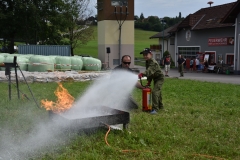 NIK_4665_2