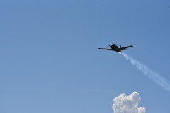 Flug__163