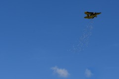 Flug__241