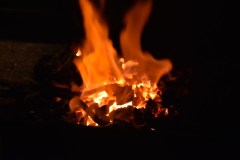 GosBergw__36