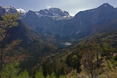 FischerWilf-2
