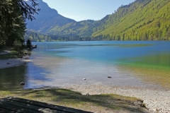 FischerWilf-3