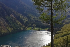 FischerWilf-4
