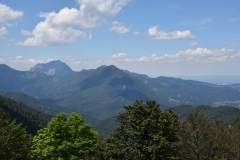 NIK_1768_5
