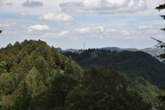 NIK_1770_6