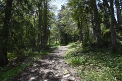 NIK_1771_7