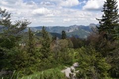 NIK_1772_8