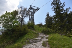 NIK_1773_9