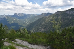 NIK_1777_10