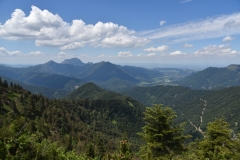 NIK_1778_11