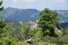NIK_1780_13