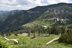 NIK_1781_14