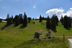 NIK_1783_16
