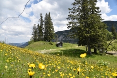 NIK_1784_17