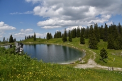 NIK_1793_20