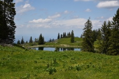 NIK_1794_21