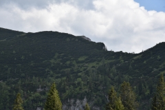 NIK_1795_22