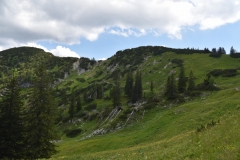 NIK_1796_23
