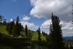 NIK_1798_25