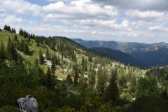 NIK_1803_27