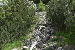 NIK_1816_30