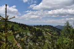 NIK_1817_31