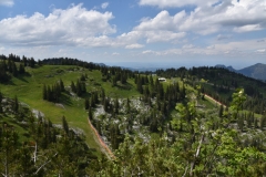 NIK_1818_32
