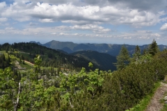 NIK_1819_33
