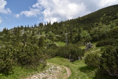 NIK_1821_34
