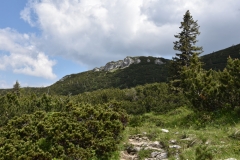 NIK_1826_36