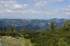 NIK_1828_37