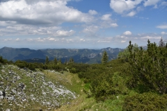 NIK_1829_38