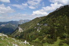 NIK_1831_40