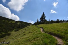 NIK_1832_41