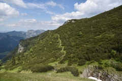 NIK_1833_42