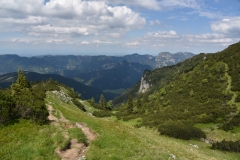 NIK_1834_43