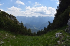 NIK_1835_44