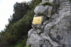 NIK_1836_45