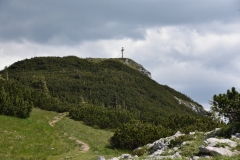 NIK_1840_49