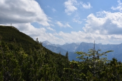 NIK_1842_50