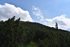 NIK_1846_52