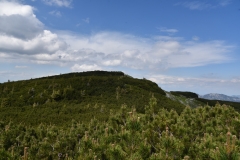 NIK_1847_53