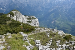 NIK_1857_57