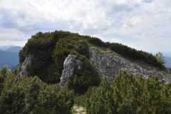 NIK_1863_60