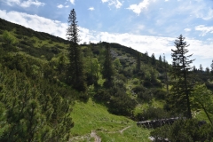 NIK_1867_62